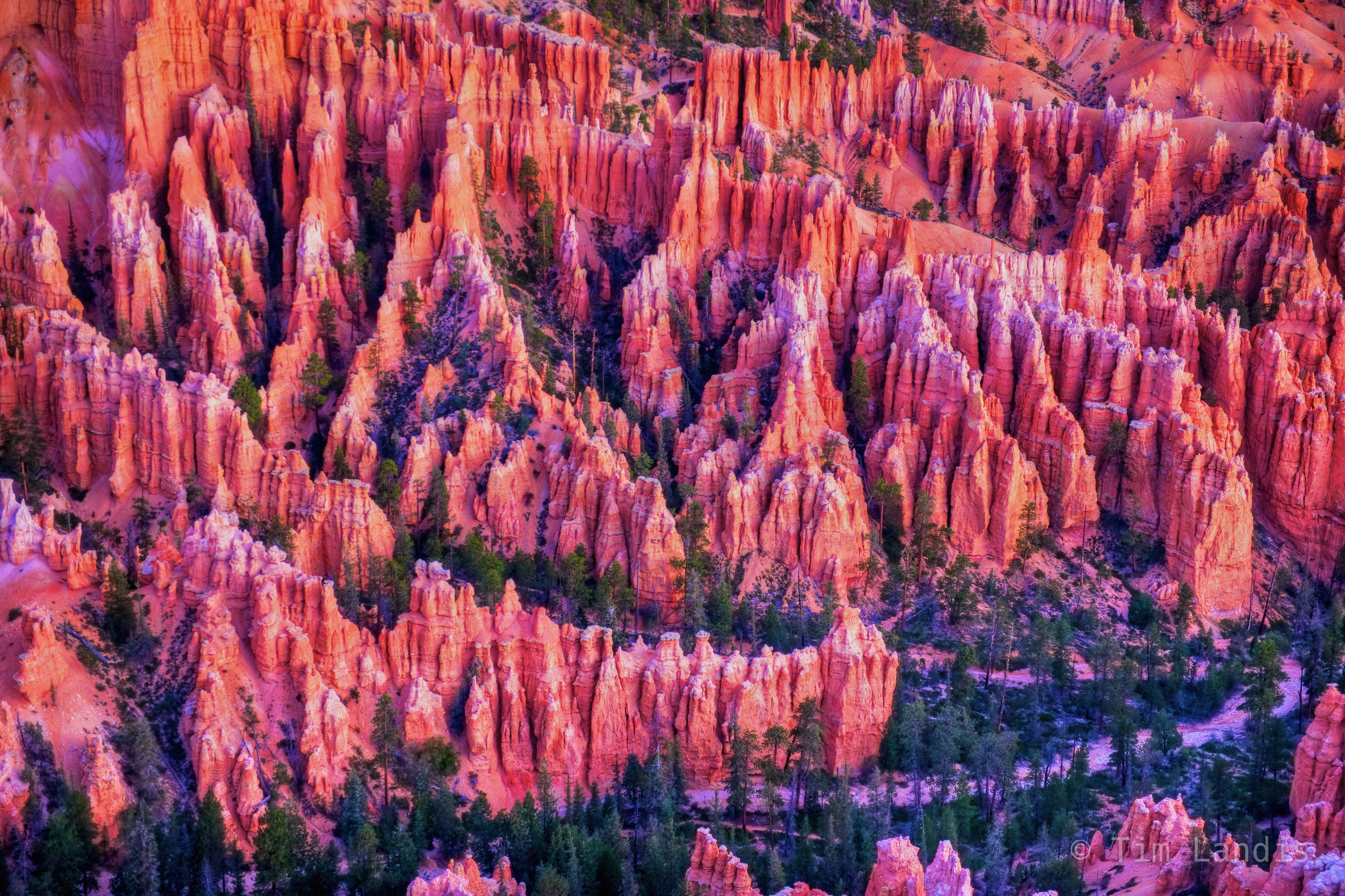 Bryce Canyon predawn.